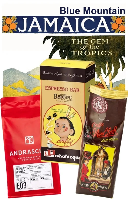 Lot dégustation JAMAICA BLUE MOUNTAIN (3 Sachets)