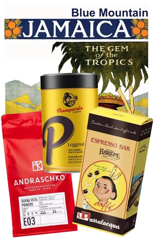 Lot dégustation JAMAICA BLUE MOUNTAIN (3 Sachets)