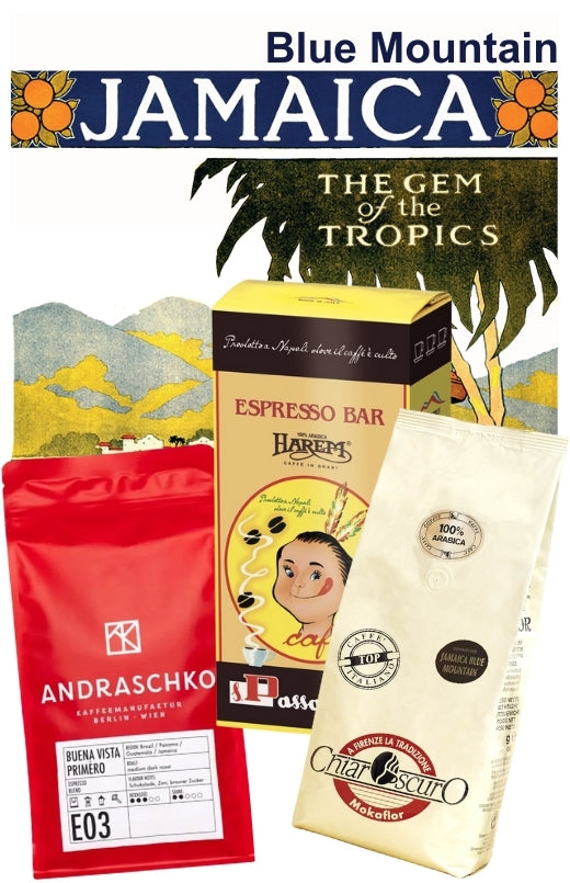 Lot dégustation JAMAICA BLUE MOUNTAIN (Petits sachets)