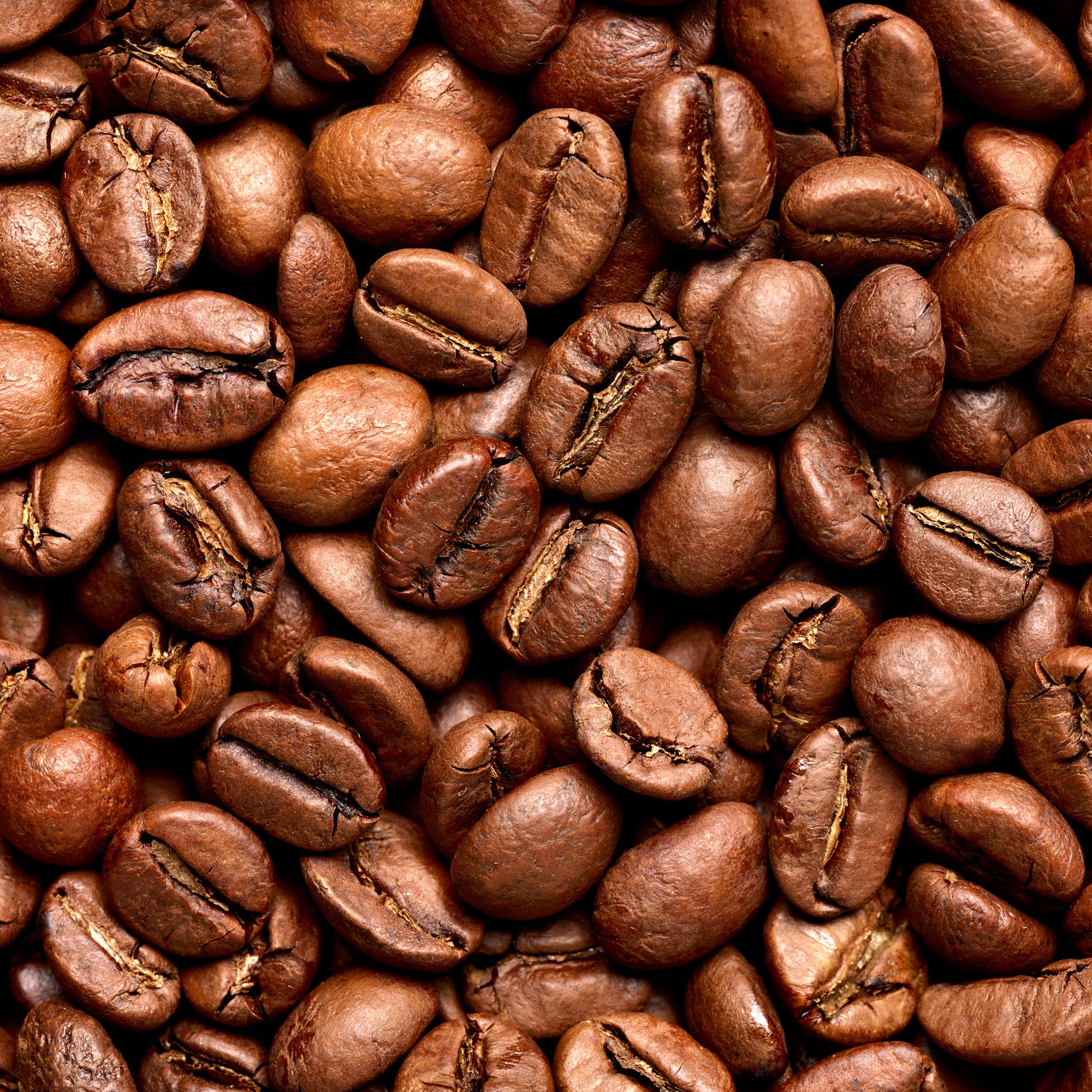 Espresso International